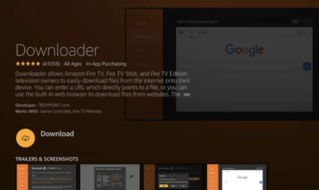 Downloader app on Fire Stick